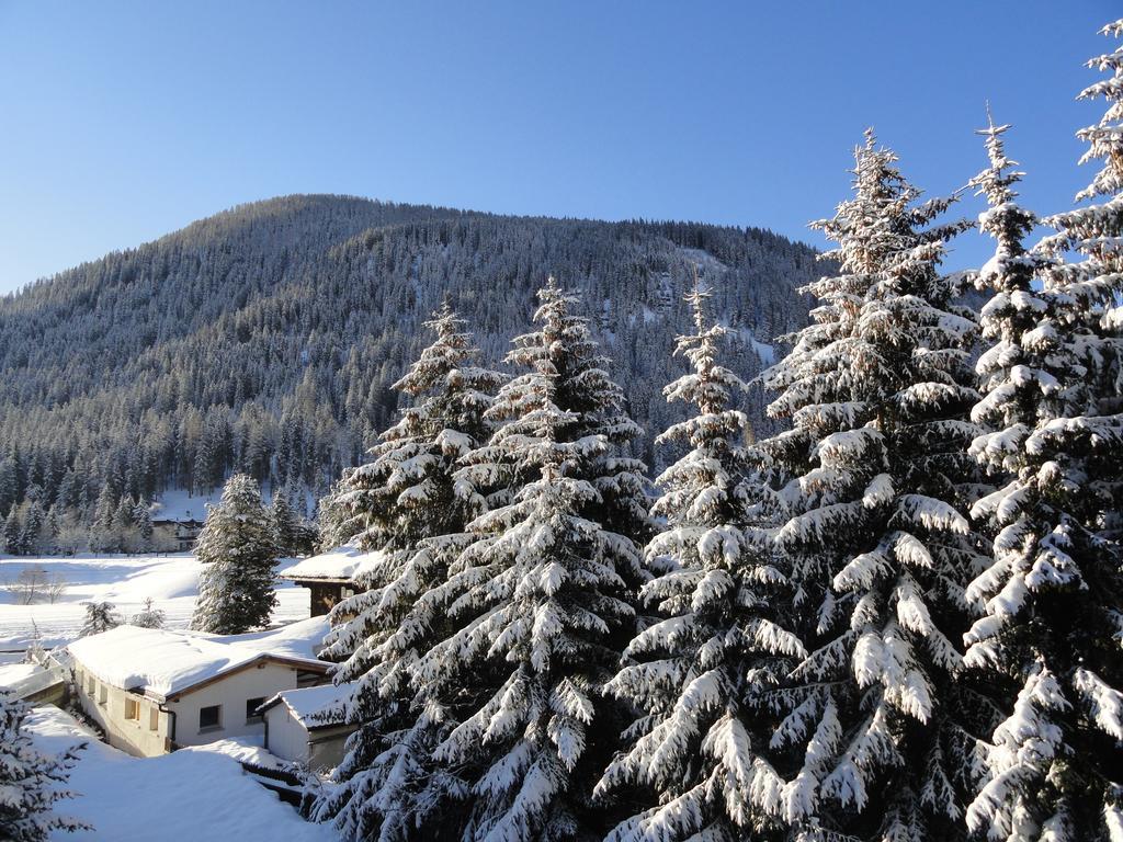 Studio Riedwiese Давос Номер фото